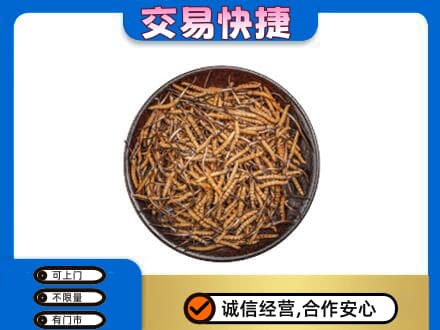 北京西城区回收散虫草